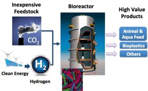 biotech CO2 reduction